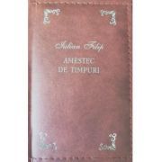 Amestec de timpuri