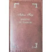 Amestec de timpuri de Iulian Filip