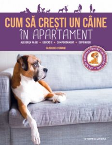 Cum a cresti un caine de apartament