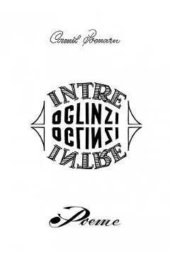 Intre oglinzi de Camil Poenaru