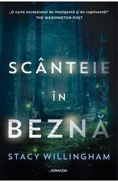 Scanteie in bezna