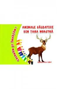 Animale salbatice din tara noastra de Coloram si invatam!