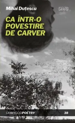 Ca într-o povestire de Carver de Mihai Dutescu