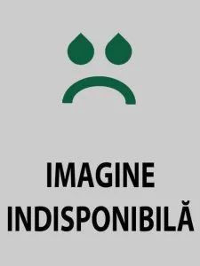 Cele 11 lebede/ Prima citit