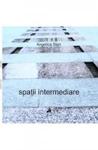 Spatii intermediare