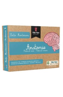 Lectii de anatomie: Sistemul osos. Sistemul nervos