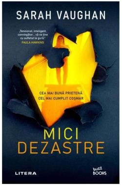 Mici dezastre
