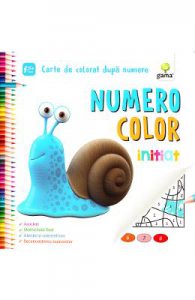 Numero Color initiat