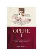 Opere 1. Aventuri intr-o curte interioara. Efectul de ecou controlat de Mircea Nedelciu