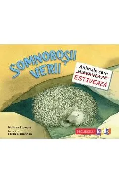 Somnorosii verii. Animale care estiveaza de Melissa Stewart