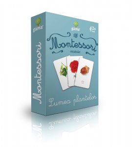 Vocabular. Lumea plantelor