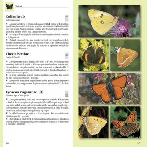 Determinator de plante și animale