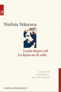 Lectia despre cub