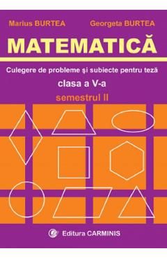 Matematica. Culegere de probleme si subiecte pentru teza. Clasa 5 - Semestrul 2