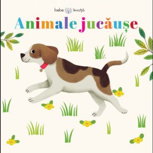 Animale jucause