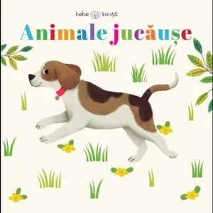 Animale jucause