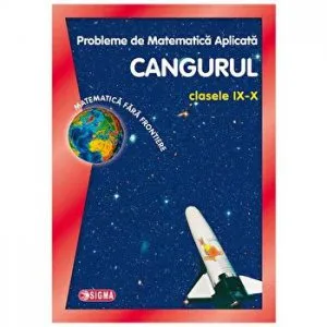 Cangurul matematica 1994 - 2013