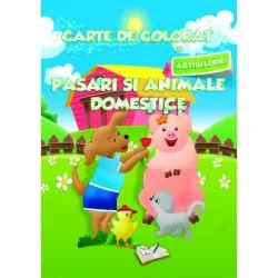 Carte de colorat cu abtibilduri. Pasari si Animale Domestice