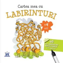 Cartea mea cu labirinturi. 46 de labirinturi refolosibileo carioca 4 ani