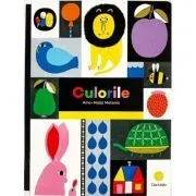 Culorile de Aino-Maija Metsola
