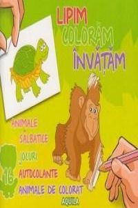 Lipim, coloram, invatam. Animele salbatice