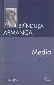 Media culpa
