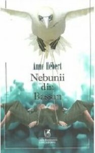 Nebunii din bassan
