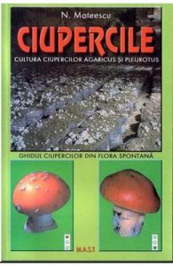 Ciupercile