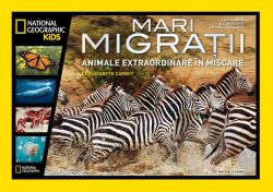 Mari migrații