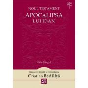 Apocalipsa lui Ioan. Noul Testament
