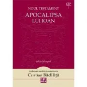 Apocalipsa lui Ioan. Noul Testament de Cristian Badilita