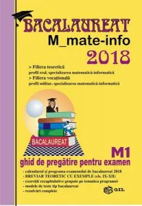 Bacalaureat 2018_M-mate-info