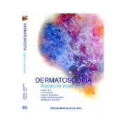 Dermatoscopia, Aspecte Esentiale