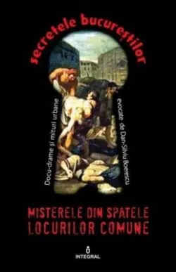 Misterele din spatele locurilor comune (Vol. 13) de Dan-Silviu Boerescu