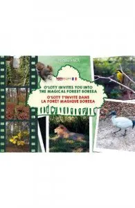 O'Loty invites you into the magical forest Boreea (eng fr) de Marina Anca