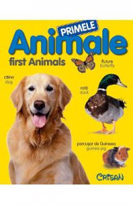 Primele animale. First Animals