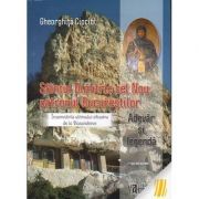 Sf Dimitrie cel Nou, patronul Bucurestilor