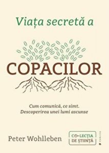 Viata secreta a copacilor. Cum comunica, ce simt. Descoperirea unei lumi ascunse