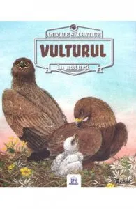 Animale salbatice in natura: Vulturul de Renne
