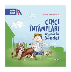 Cinci întâmplări din viața lui Săndel