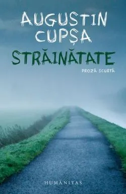 Străinătate de Augustin Cupsa