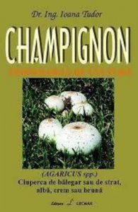 Champignon - tehnologia de cultura