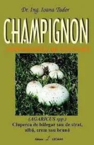 Champignon - tehnologia de cultura de Ioana Tudor