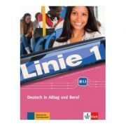 Linie 1 B1. 1, Kurs- und Übungsbuch mit DVD-ROM. Deutsch in Alltag und Beruf