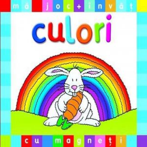 Ma joc si invat culori cu magneti