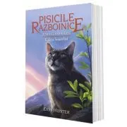 Pisicile Razboinice. Cartea 25 Zorii clanurilor. Calea Soarelui de Erin Hunter