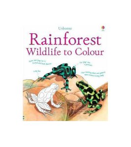 Rainforest Wildlife to Colour
