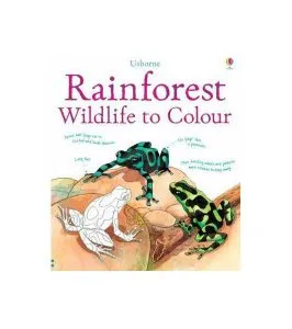 Rainforest Wildlife to Colour de Megan Cullis