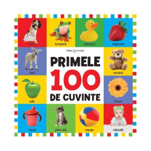 Bebe învață. Primele 100 de cuvinte (format mare)