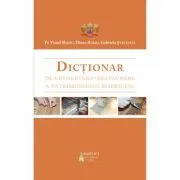 Dictionar de conservare-restaurare a patrimoniului bisericesc de Viorel Barbu